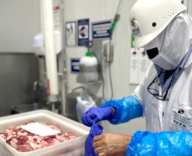 Man with bioprotection carring meat samples